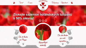 Obrázek reference Tulipania - svět tulipánůWeb dodavatele premiových tulipánů
